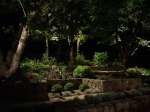 Beautifully Installed Landscaping Lights Near Me